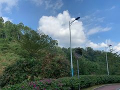 -火炉山森林公园