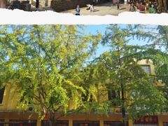 -始兴县农家小院餐馆