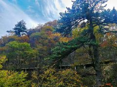 -明堂山风景区