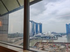 -新加坡丽思卡尔顿美年酒店
