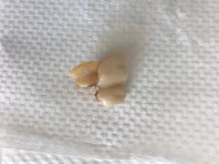 -欢乐口腔医院(顺义分院)