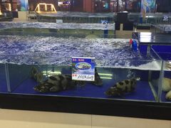 -亚龙湾亚泰商业街