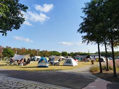 -上海浦江郊野公园-5号停车场