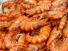 -蚝乡农庄(铁涌赤岸店)