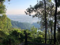 -滴水岩森林公园