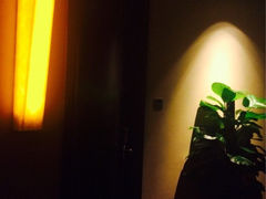 iphone_upload_pic-上海金陵紫金山大酒店