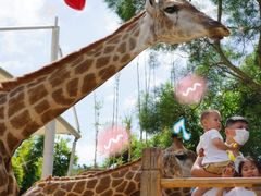 -泉州海丝野生动物世界