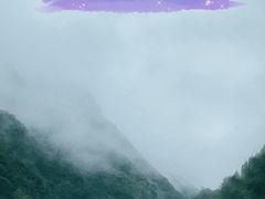 -娄山关景区