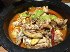 -云海肴·汽锅鸡·云南菜(天山百盛优客店)