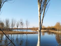 -东郊湿地公园