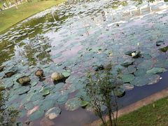 -华南师范大学(广州大学城校区)