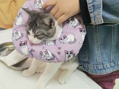 -宠颐生·恒爱宠物医院(静海店)