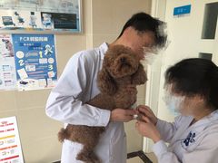 -菲尔斯特宠物医院