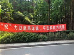-上海科学技术职业学院