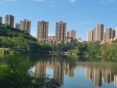 -重庆彩云湖湿地公园