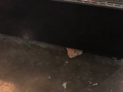 -时光转角咖啡馆(西康路店)