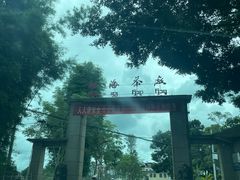 -大益茶庭(勐海会员中心店)