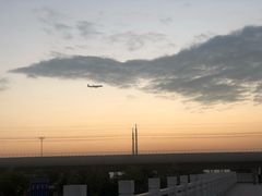 景点-宝安西湾红树林湿地公园