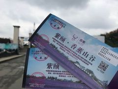 -紫颐香薰山谷景区