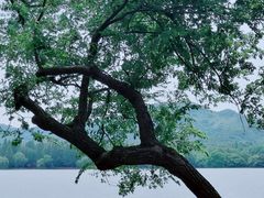 -苏堤停车场