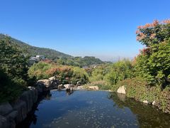 -徂徕山森林康养度假谷温泉