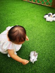 -萌宠亲子动物乐园(槐房万达店)