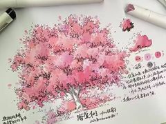 -学知乐教育·幼小衔接·小学科辅导(嘉定镇校区)