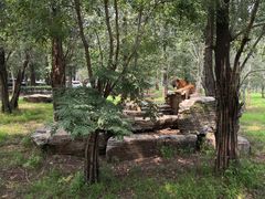 -秦皇岛野生动物园