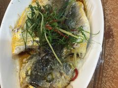 -百年银屏蚝烙·潮汕菜·非遗(乐山店)