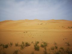 -达拉特旗响沙湾旅游区