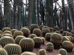 -南山植物园