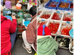 -清平路水族市场