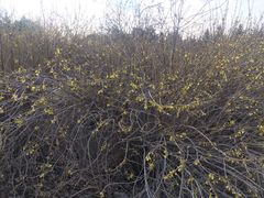 -长春公园(普阳街道)