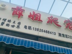 -中环花鸟鱼虫市场