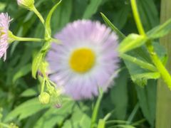 -前小桔亲子创意农场·草莓采摘·露营烧烤