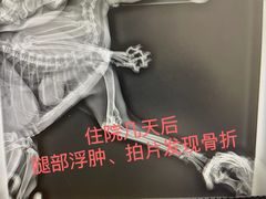 -邢大夫动物医院