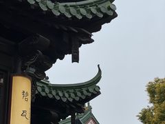 -南山翁新概念川菜(江宁万达广场店)