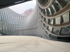 -凤凰中心