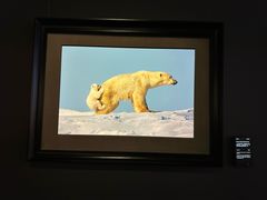 -罗红摄影艺术馆