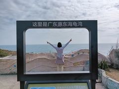 -广东惠东海龟国家级自然保护区