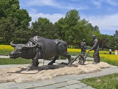 -北坞公园