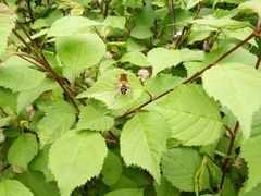 -长春公园(普阳街道)