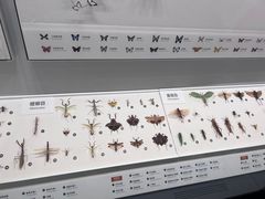 -四川大学博物馆