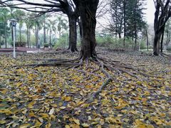 -百姓百味海鲜酒楼(粤垦路总店)