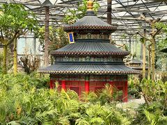 -南宫五洲植物乐园