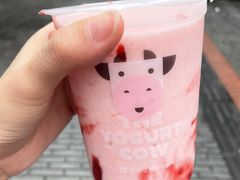 -一只酸奶牛(奎星楼店)