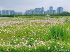 -洋湖国家湿地公园