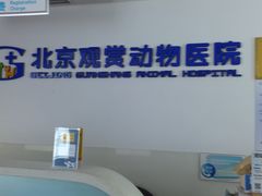 -北京观赏动物医院·24小时大型综合·猫专科·异宠专科