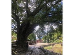 -云水谣景区