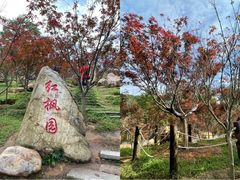-广州市帽峰山景区